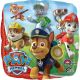 Anagram International Hx Paw Patrol Packaged Party Balloons, Multicolor (3017901.0)