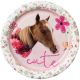 Birthdayexpress Rachael Hale Party Supplies Beautiful Dessert Plates (8)