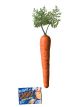 Bunny Carrot Prop