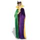 Mardi Gras Cape Adult