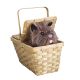 Rubies Deluxe Toto In A Basket