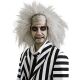 Beetlejuice Beetlejuice Wig