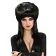 Rubies Elvira Mistress Of The Dark Long Wig, Black, One Size