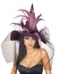 Rubies Womens Witch Hat With Feathers And Veil Costume, Multicolor, One Size