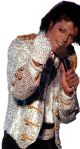 Michael Jackson Adult Sequin Glove (Left Hand)