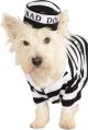 Rubies Pet Costume, Small, Prisoner