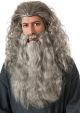 The Hobbit Gandalf Beard Kit (New)