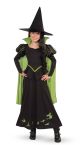 Wizard Of Oz Wicked Witch Of The West Costume, Large One Color