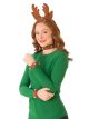 Reindeer Kit