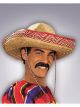 Forum Novelties Black Pancho Moustache