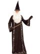 Oh Mr. Wizard Adult Costume