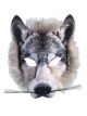 Forum Novelties Wolf Realistic Fur Face Mask, Grey, One Size