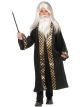 Wizard Child Wig And Beard