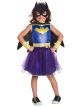 Batgirl Deluxe Child Costume (X-Small)
