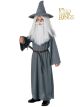 The Hobbit Gandalf The Grey Costume Small