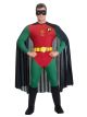 Robin Adult Costume L
