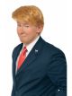 Mr. Billionaire President Wig