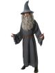 Rubies Costume Co Gandalf Costume, X-Large