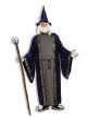 Mens Plus Size Wizard Costume