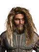 Rubies Costume Co Mens Justice League Aquaman Beard & Wig, As Shown, One Size