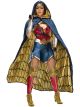 Rubies Wonder Woman Adult Grand Heritage Costume, Small