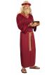 Forum Novelties Mens Biblical Times Wise Man Costume, Burgundy, One Size