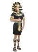 Mens King Tut Costume Md