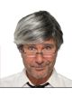 Forum Novelties Mens Wig-Old Man-Gray Party Supplies, Standard