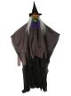 Forum Novelties 81365 Light Up Witch, Multicolor, Standard