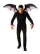 Rubies Adult Devil Wings