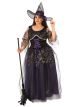 Curvy Midnight Witch Costume Plus