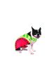 Rubies Watermelon Pet Costume, X-Large