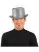 Silver Top Hat (One Size)