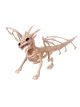 Crazy Bonez W80469 Skeleton Dragon, Bone