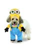 Minion Bob Arms Pet Suit, X-Large