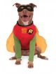 Dc Comics Robin Big Dog Boutique, Xxx-Large