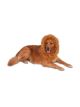 Rubies Deluxe Lions Mane For Pets