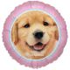 Birthday Express Rachael Hale Glamour Dogs Party Supplies Foil Balloon