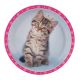 Birthdayexpress Rachael Hale Glamour Cats Party Supplies Dinner Plates (8)