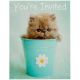 Birthday Express Rachael Hale Glamour Cats Party Supplies Invitations (8)