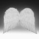 Forum Novelties Feather Wings, Black