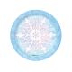 Birthdayexpress Snowflake Winter Wonderland Christmas Party Supplies Dessert Plates (8)