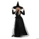 Morris ADLT WICKED WITCH LG