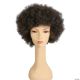 Morris ADULT AFRO WIG LW515
