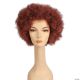 Morris ADULT AFRO WIG LW515