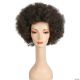 Morris ADULT AFRO WIG LW515