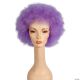 Morris ADULT AFRO WIG LW515
