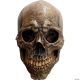 Morris ADULT ANCIENT SKULL MASK