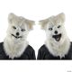 Morris ADULT ANIMATED WHITE WOLF MASK