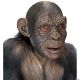 Morris ADULT BLAKE APE MASK